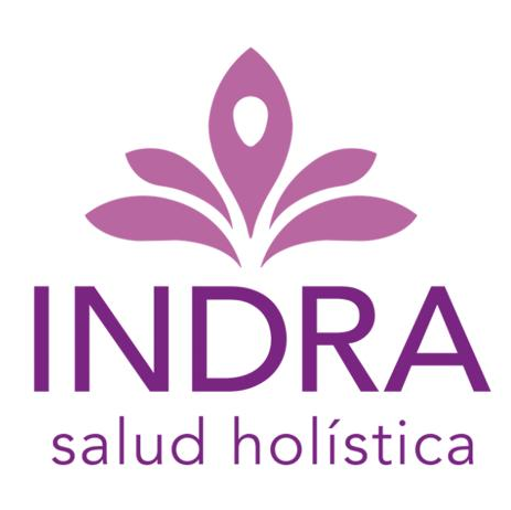 Logo Indra